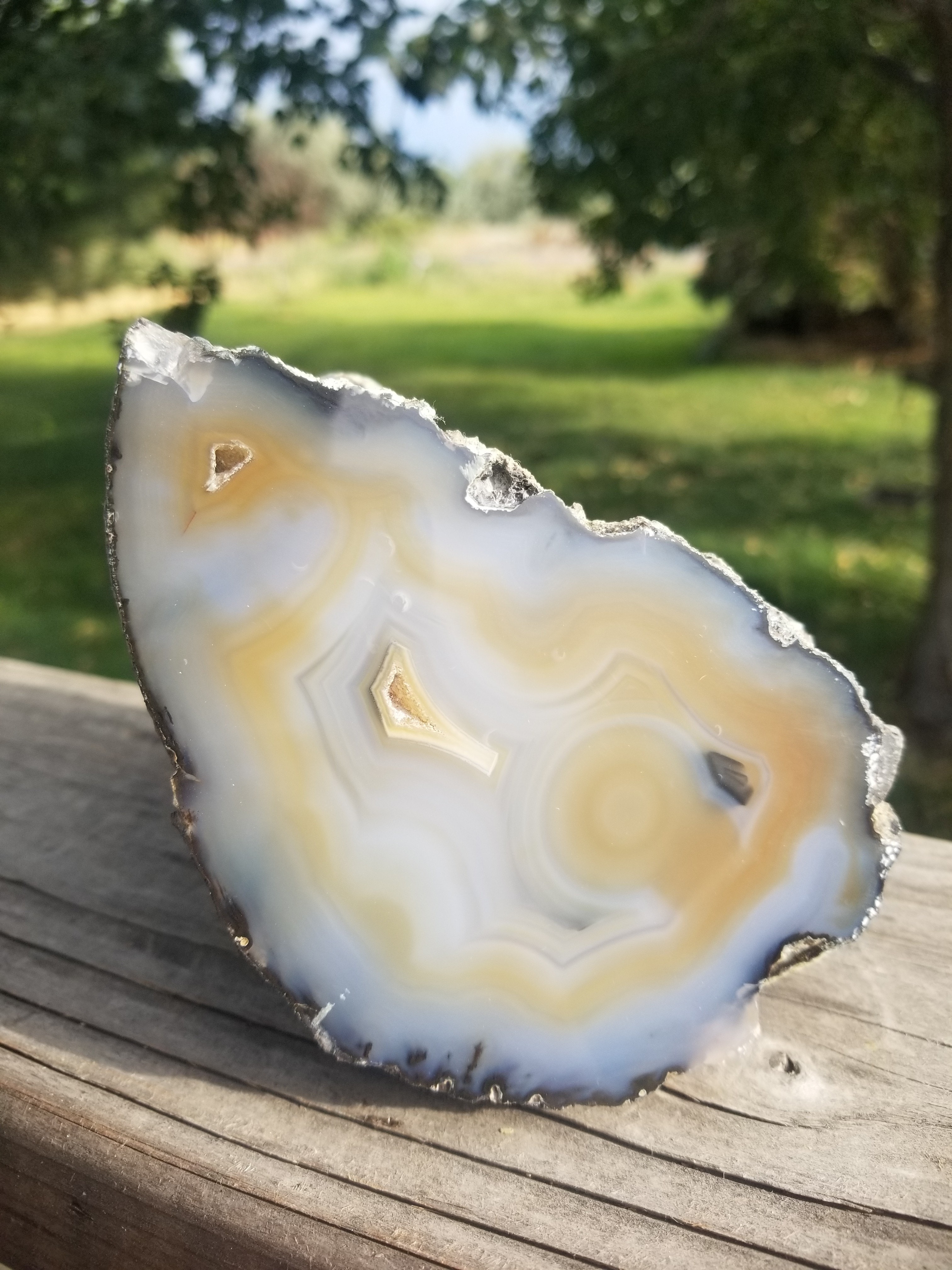 Beautiful Large Polished Brazil Agate Banded Geode 2.5Lb Natural Display Unique Decor Druzy