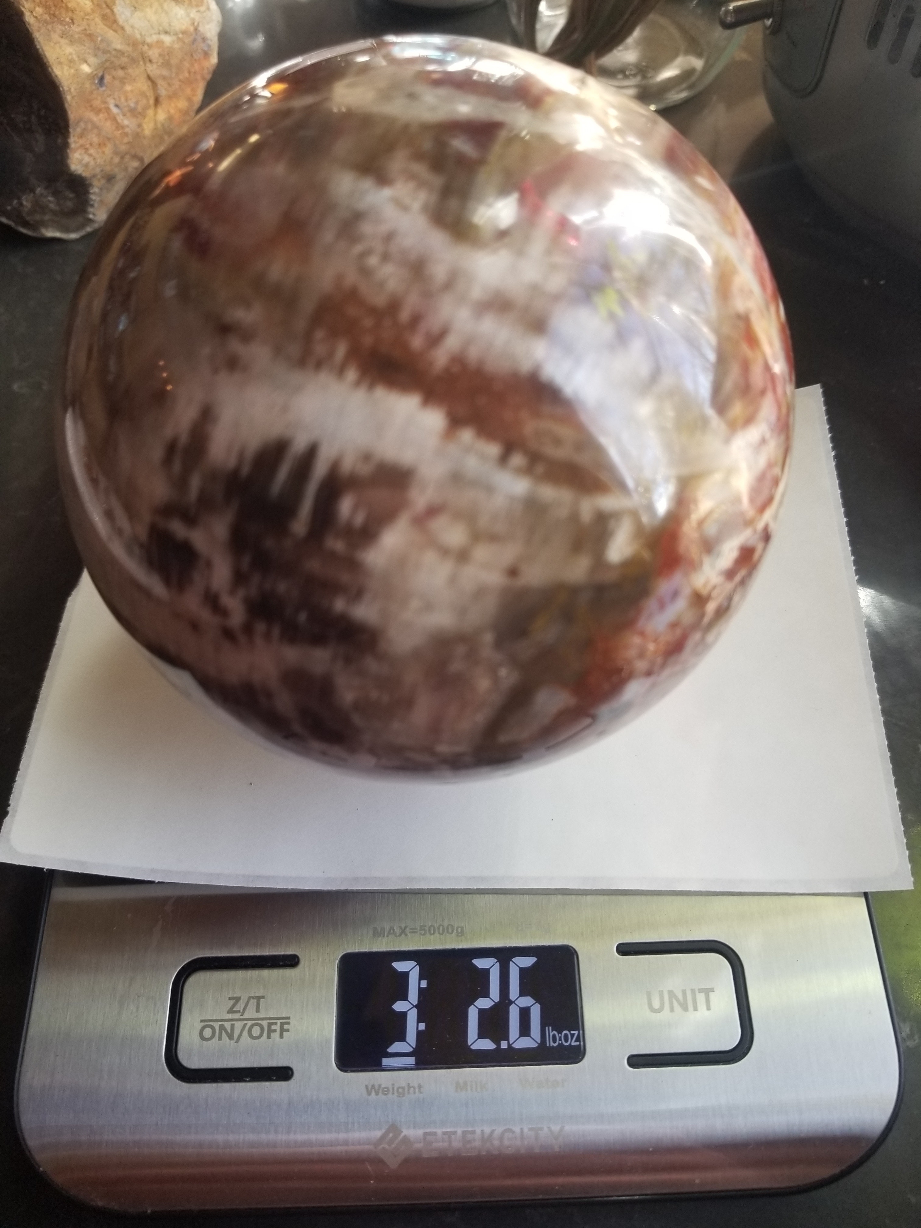 Beautiful Polished Boulder Mountain Petrified Wood Sphere 3+Lb - Great Pattern Colors