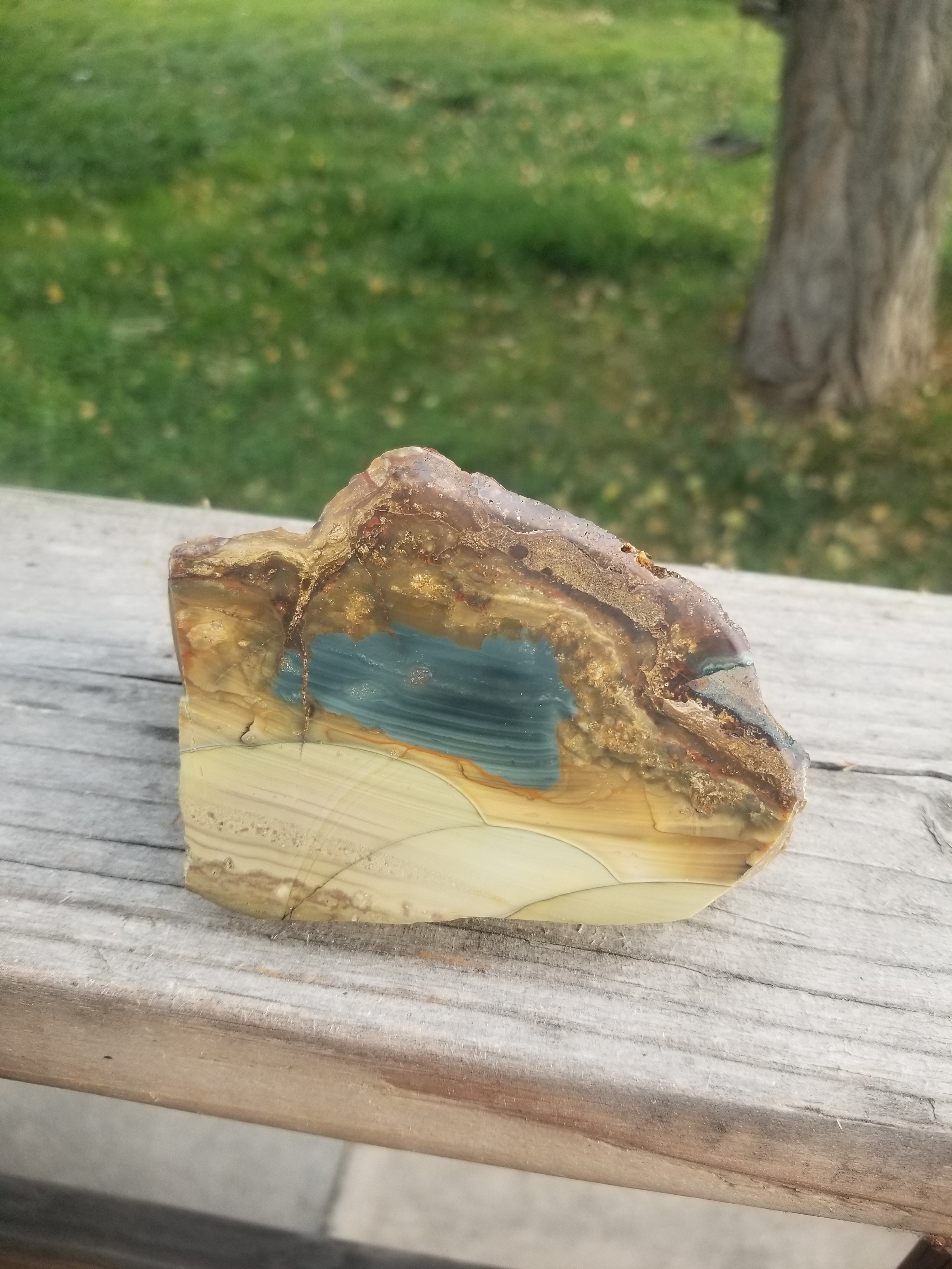 Beautiful Scenic Blue Mountain Orbed Jasper Polished End Cut Specimen Orbs Multicolor 1Lb