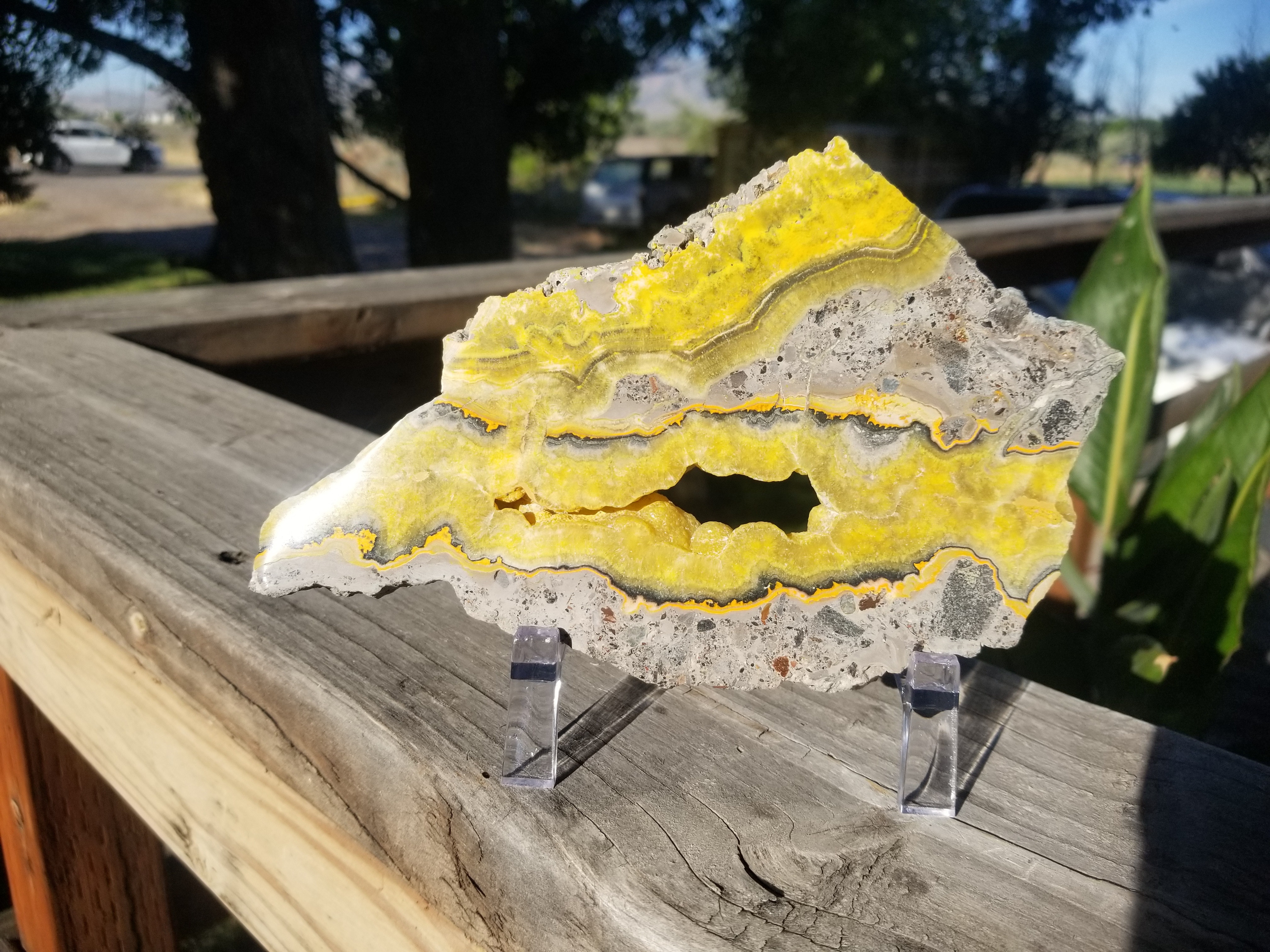 Incredible Polished Both Side Bumble Bee Jasper Slab Specimen w/Druzy Sugar Pocket